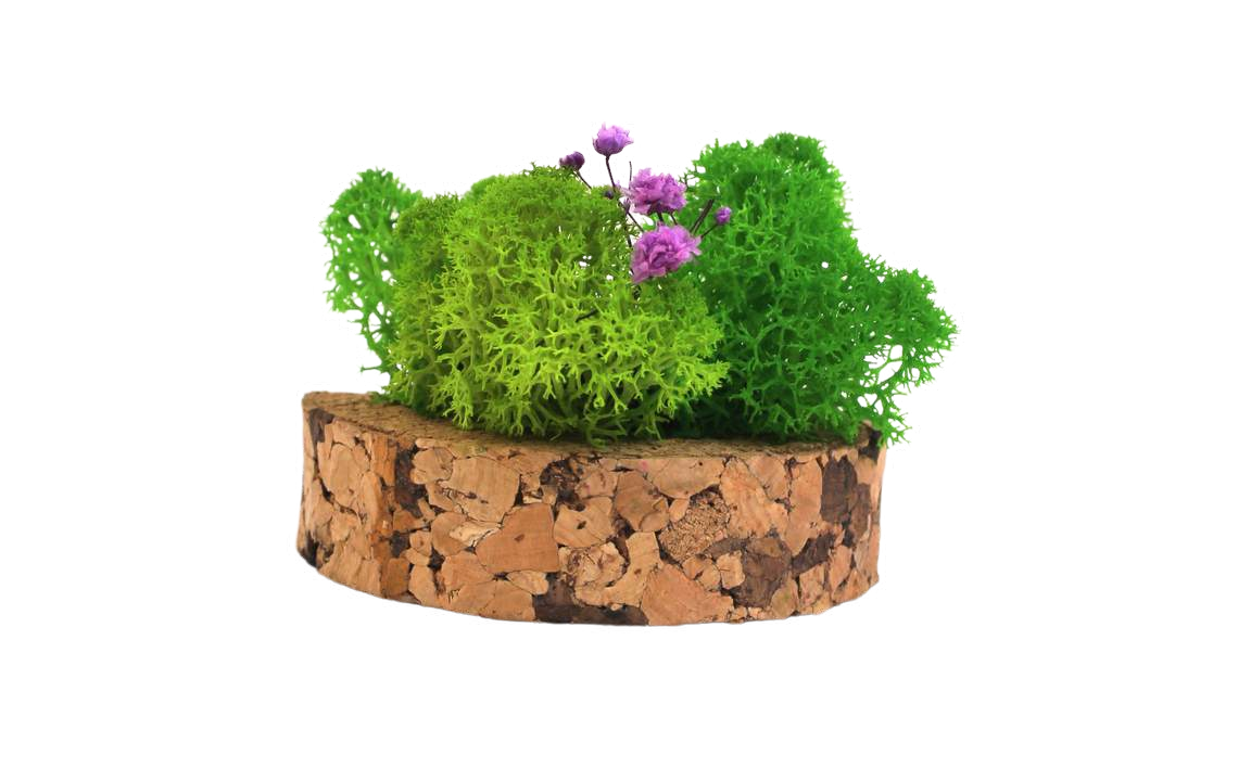 CORK C-GARDEN