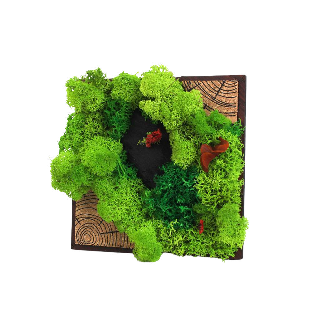 FOREST TILE (PLUS)
