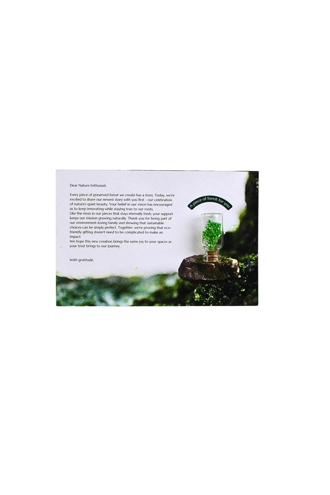 FOREST CARD