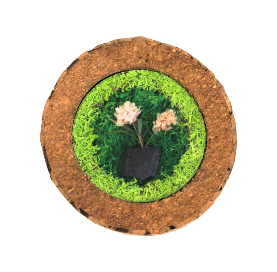 FOREST DISC