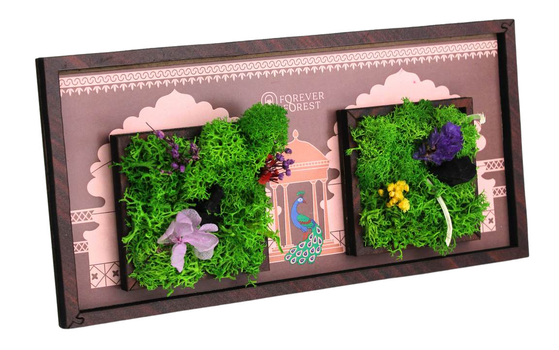 FOREST DUO WINDOW