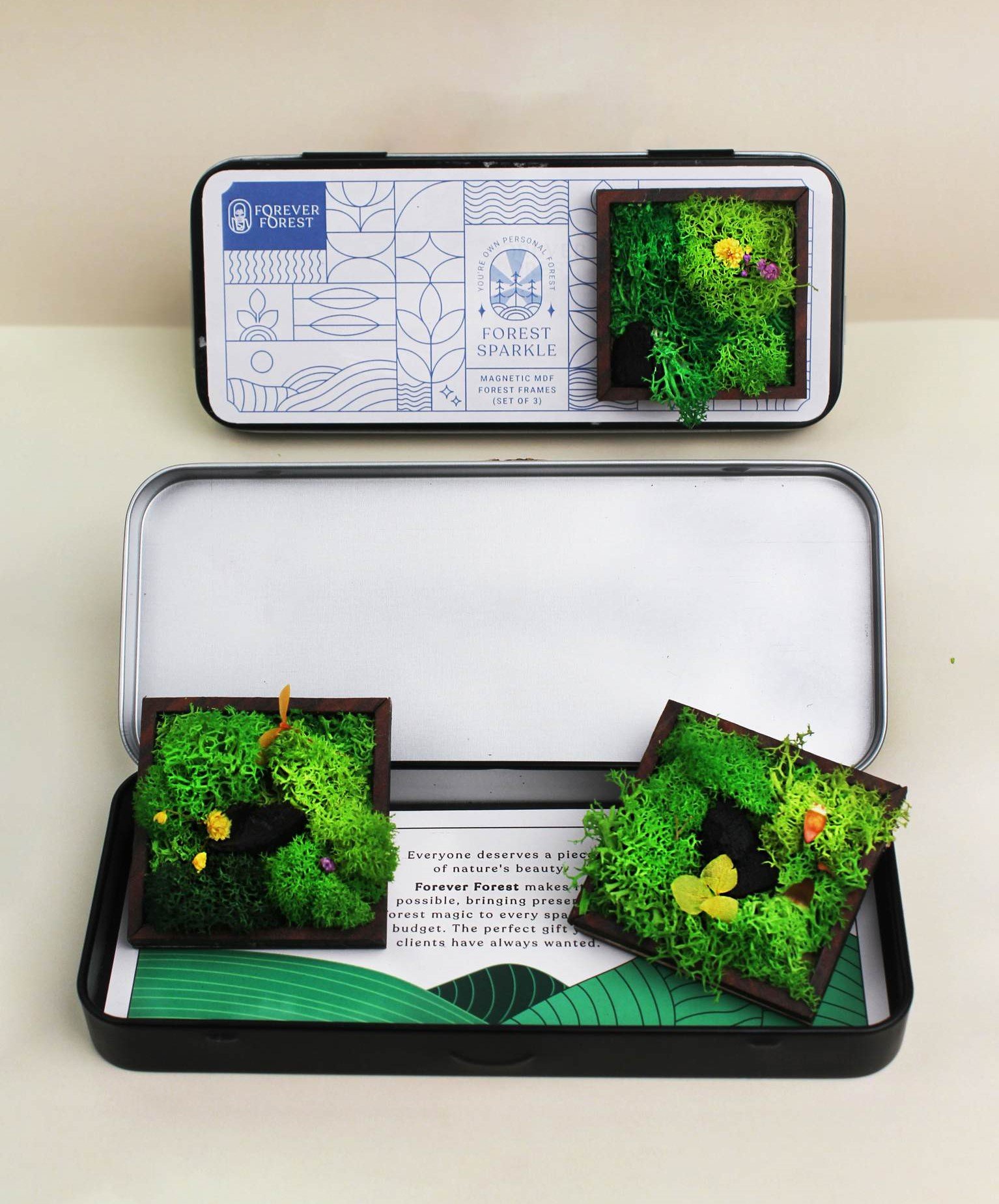 FOREST MAGNET (TRIO)