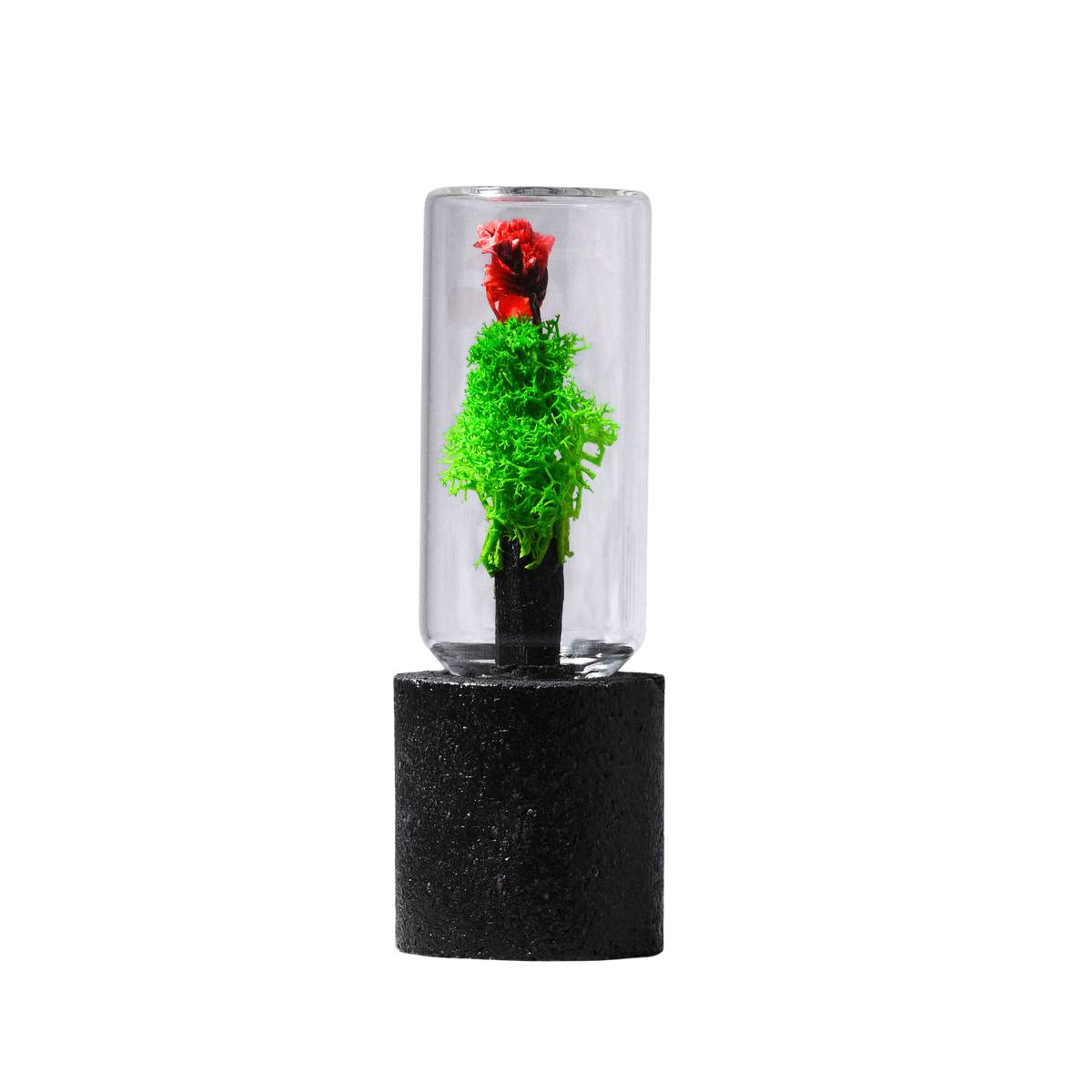 FOREST POD (BLACK)