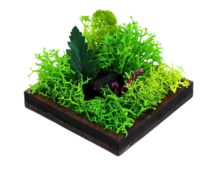 FOREST TILE (MINI)