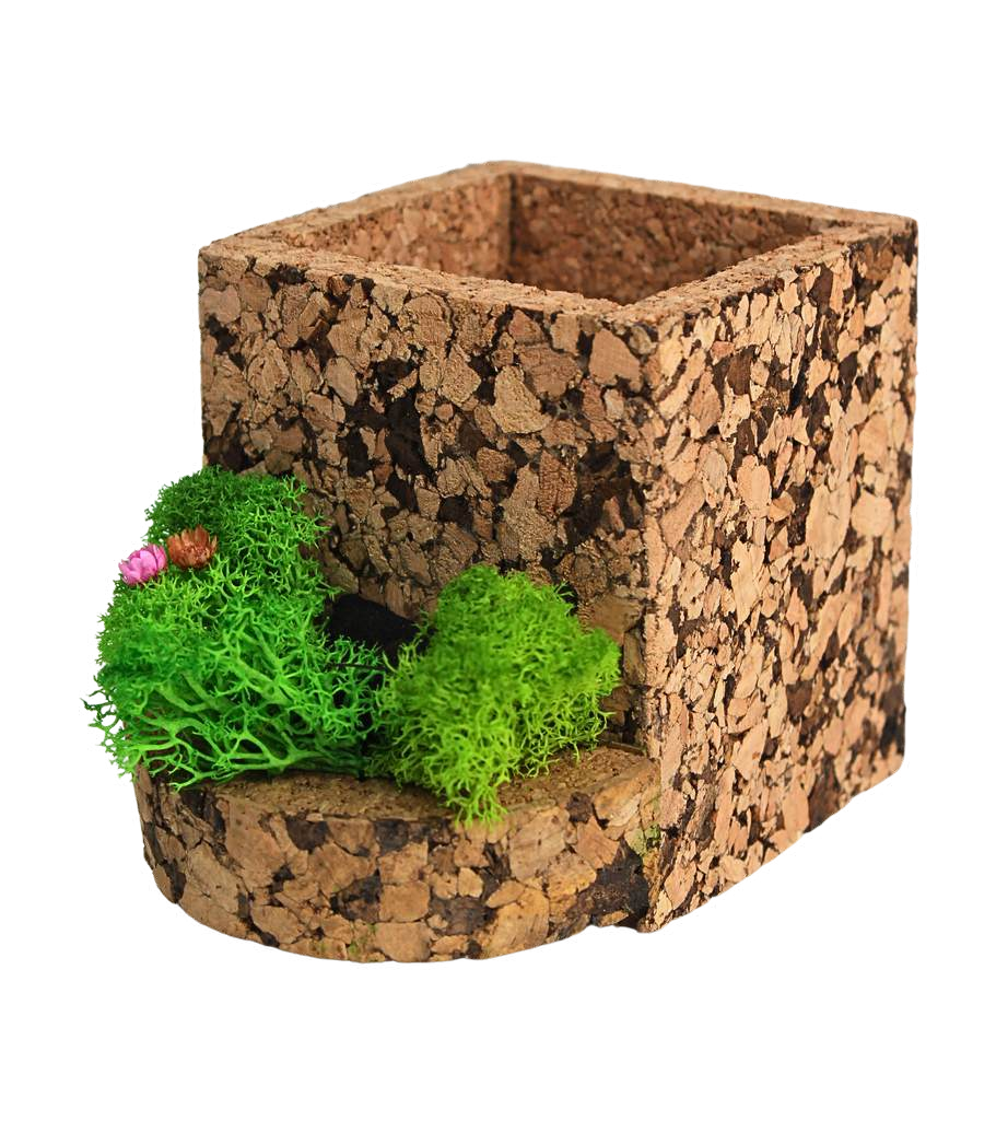 GROVE POD